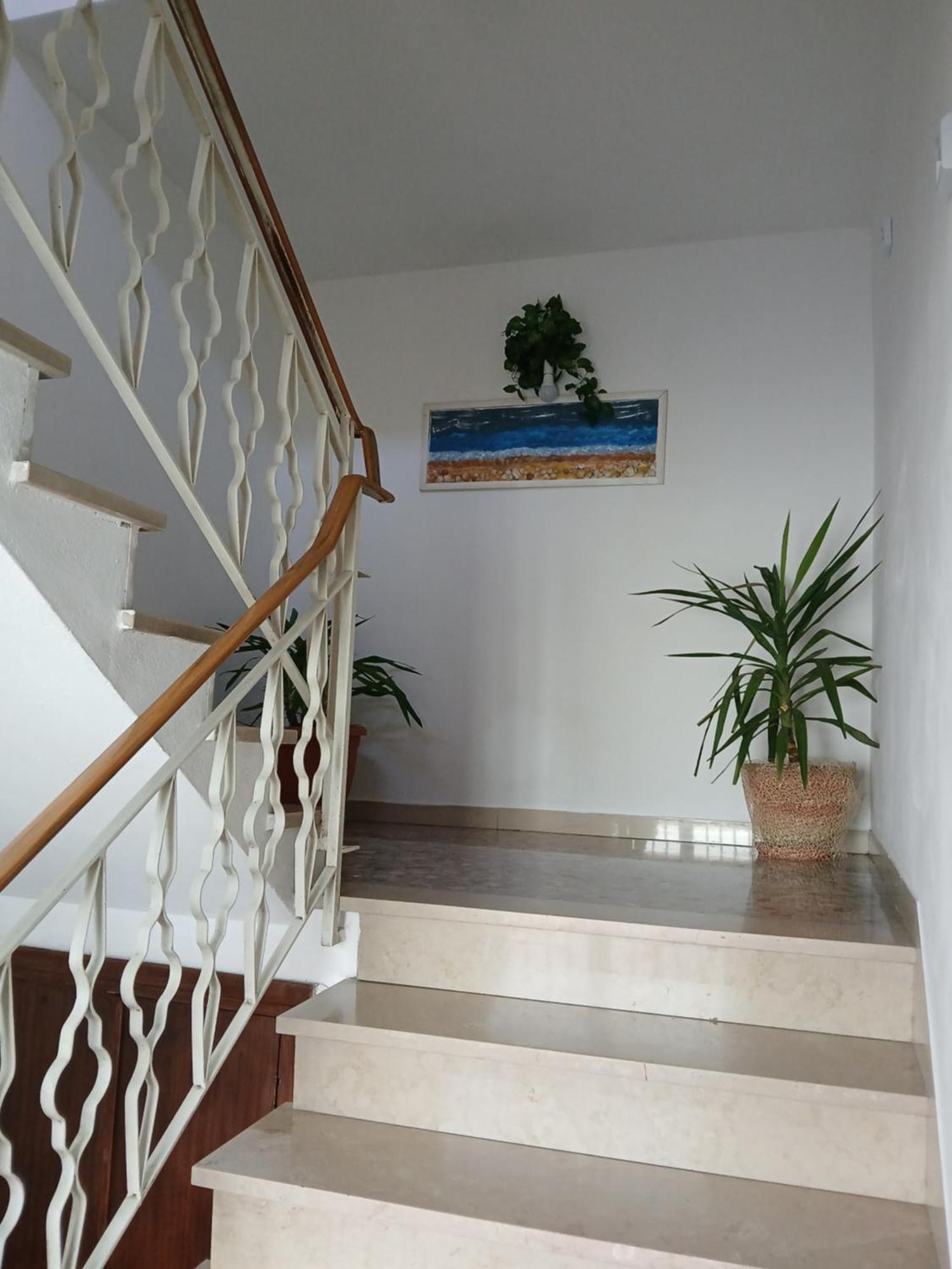 Casa Vacanza Le Due Stelle San Romano  エクステリア 写真